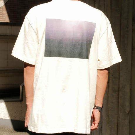 5ce6679cc843ce75c99cd3e8