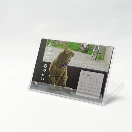 5dbc3216ff78bd295e296a9e