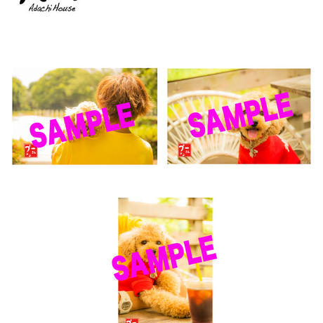 5ee8d24eb5a4253a255227ad