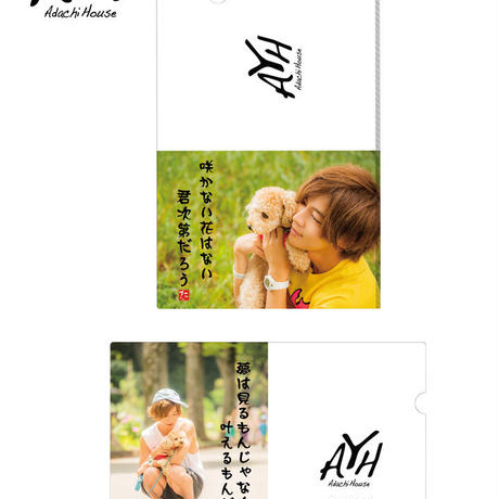 5ee8d24eb5a4253a255227ad