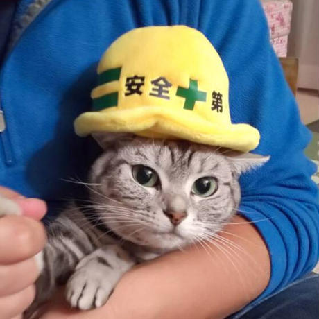 安全第一ヘルメット　S