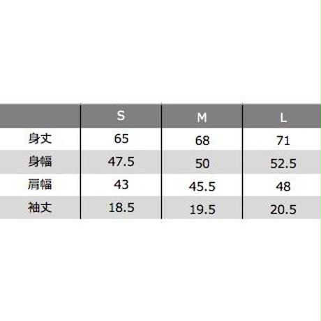 57c7a5679821cc885e00040e