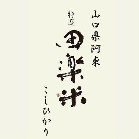 559e394e3bcba9137500049a