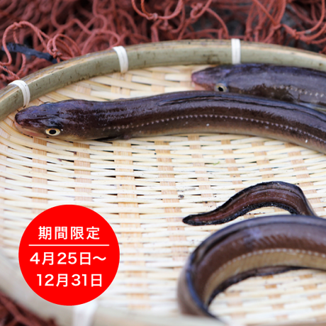 58ba88421a704ba33000b125