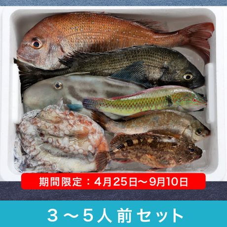 58ba800f1a704bb36800c3b4