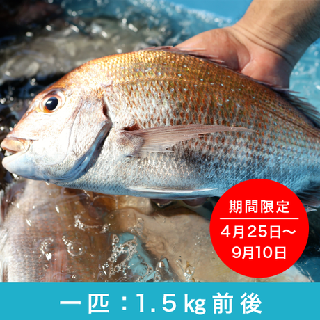 58ba86bb04d3015c8d00a2cb