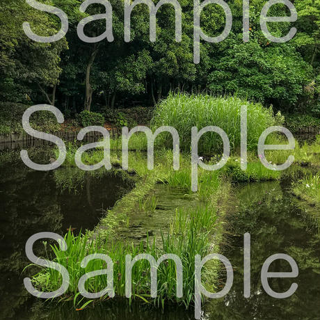5d3958fa66d86c280fe78dfb