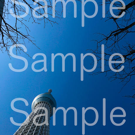5d3956154c80647154a94dc0