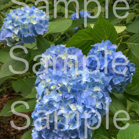 5d3959b866d86c3eeae78d35