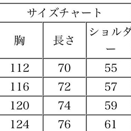 5bfd145bc49cf31d6e00035e