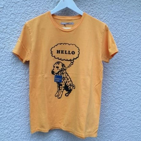 53eb34a28a56105aed000096