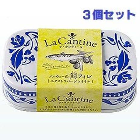 59ec501bf22a5b6575000c6b