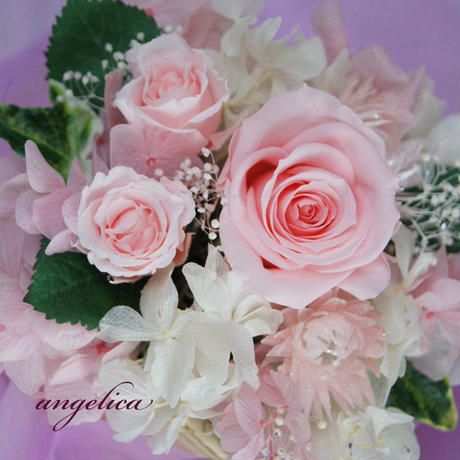 53ca87dc236a1ed4cd000aee