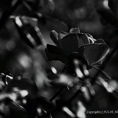 5c3ef50d7cd3610a7301c283