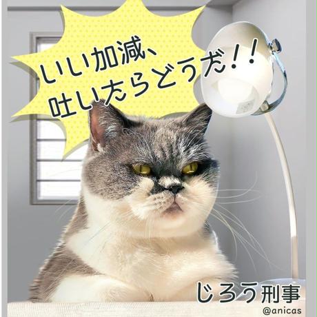 5d82eb1d6004fb4e9836ca5c