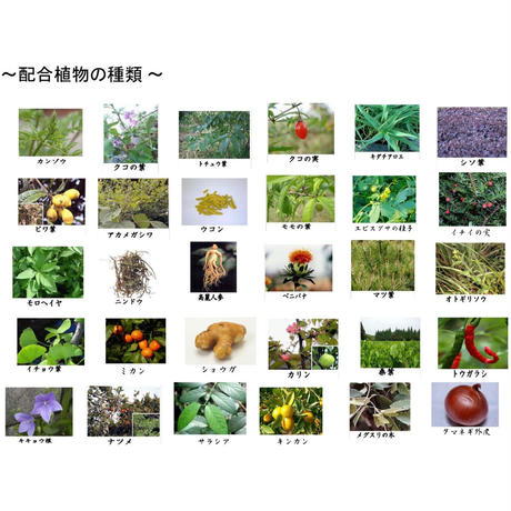 5cf630890376c64797ffc6b8