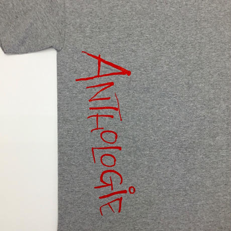 5b7e3c435f78665ecf00090f