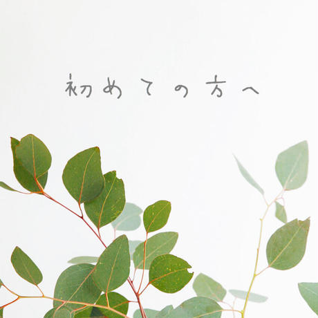 55b8856e3bcba93f8600064d