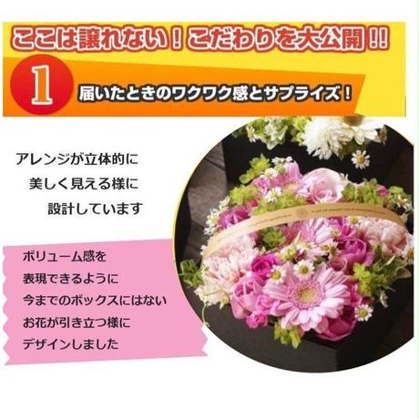 5b3ee38a5496ff1334000471