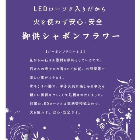 5d27e6bf2e89b768cce18c52