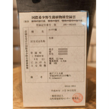 5c68e1cee73a256e571e5b81