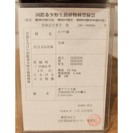 5c0210ccc3976c57e645278b