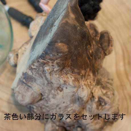 5a85036e428f2d66160005b2