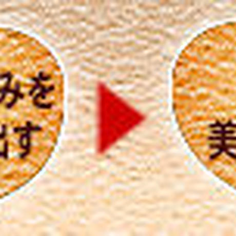 51dce70ba95dcb23c600037c