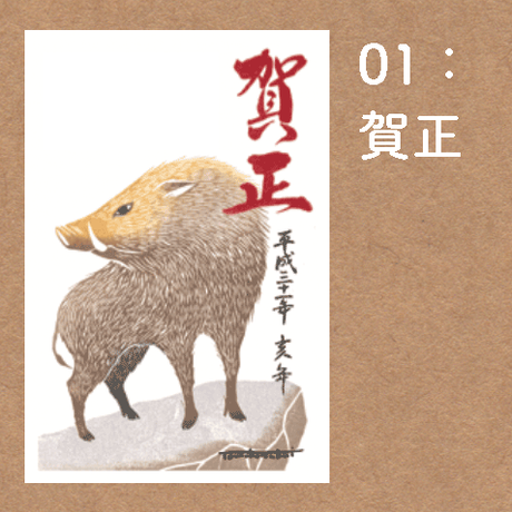 5be1712f434c72722400036b