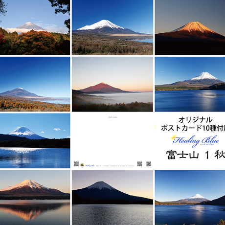 56627b773bcba9fc81012090