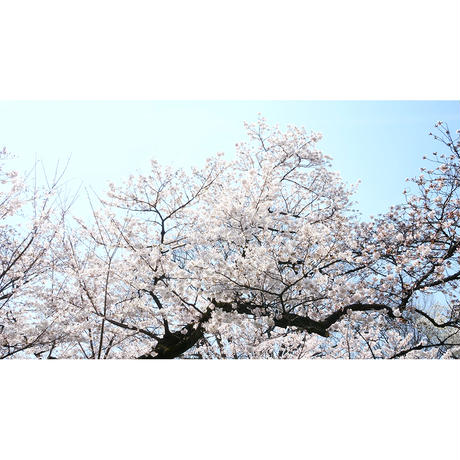 593f1f49428f2d2a1b0045e4