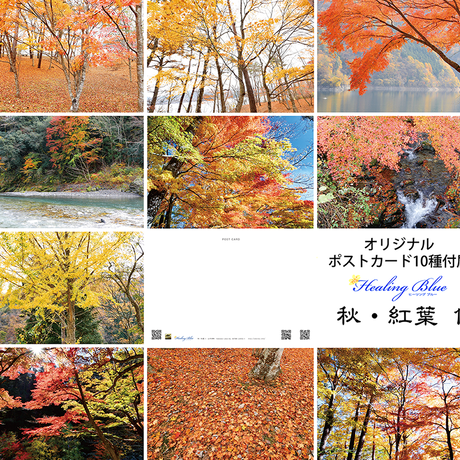 56627b9e3cd482433e0101dd