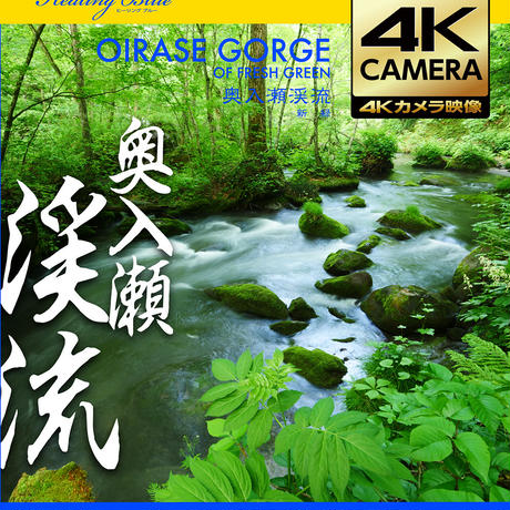 593f2143f22a5b763e004931