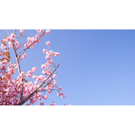 593f1f49428f2d2a1b0045e4