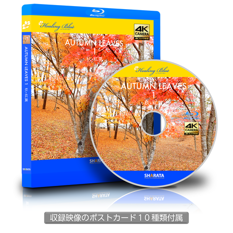 56627b9e3cd482433e0101dd