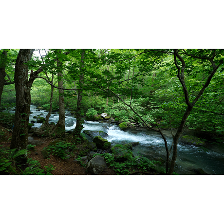 593f2143f22a5b763e004931