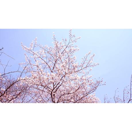593f1f49428f2d2a1b0045e4