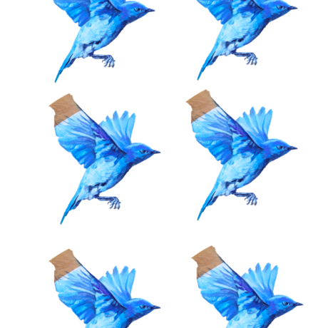 5f0d70e94adba04a64bd4e72