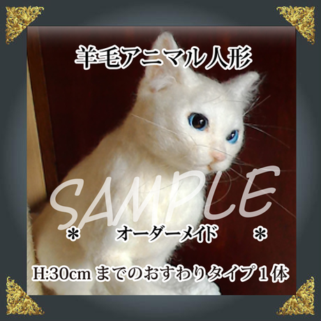5906d08db1b6198030000338