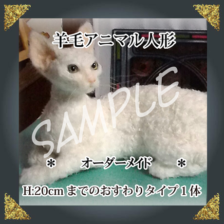 5906c9243210d5c6600000de