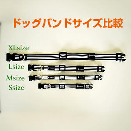 5cd2a156686ee22b2494977b