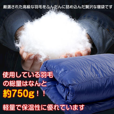 5e8b25549df1631e221e6111