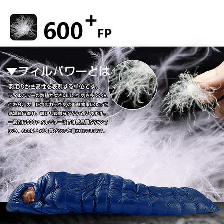 5e8b25549df1631e221e6111