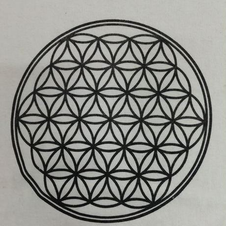 5befbef1626c84420c000390