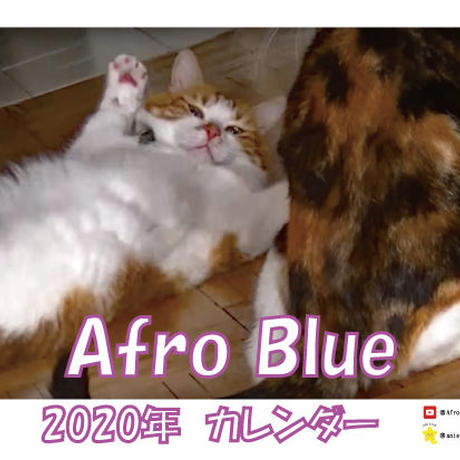 5d9300b0bc45ac4c7b022f15