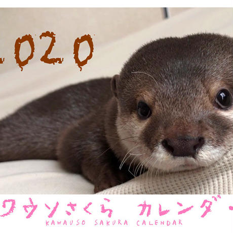 5d91d15b9658032f6729a995