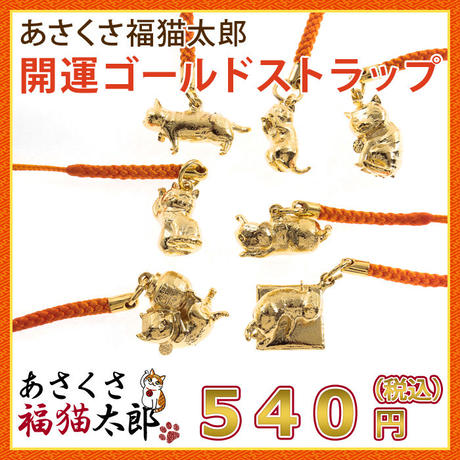 5cc53872686ee249a378e629