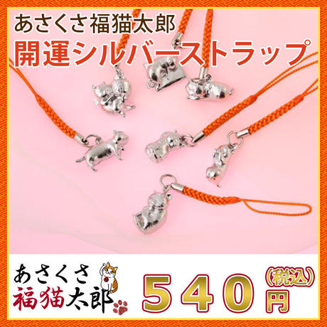 5cc53912686ee249a378e64e