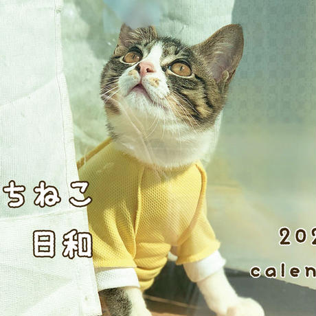 5d9307a55b61b45ffdab1417