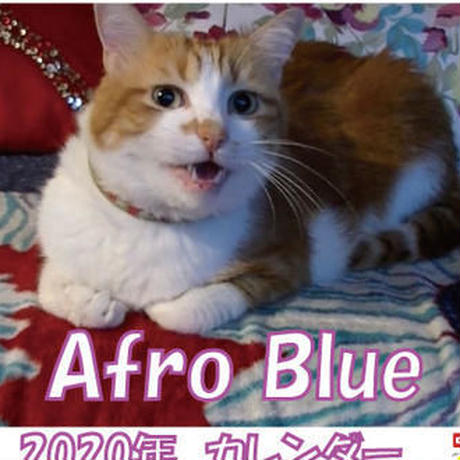 5d9300b0bc45ac4c7b022f15